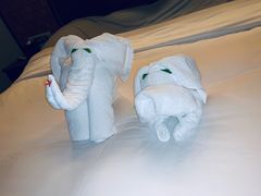 -三亚亚龙湾雅高铂尔曼别墅度假酒店