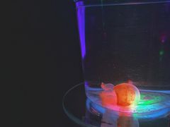 -波塞冬海底世界