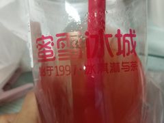 -蜜雪冰城(龙河路店)