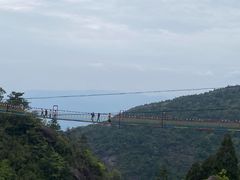 -玉苍山国家森林公园