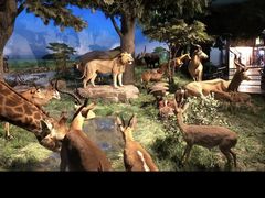 -国家自然博物馆