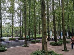 -东平国家森林公园