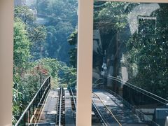 -太平山顶