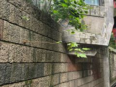 -南宋御街