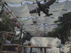 -北马山庄植趣咖啡