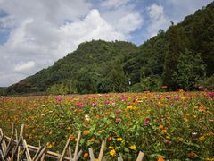 -贵阳市花溪国家城市湿地公园