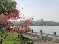 -杭州西湖柳莺里酒店·闻莺厅