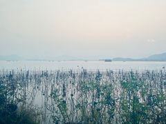 -湖畔居茶楼(湖滨店)