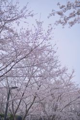 -汉仪华裳汉服馆(打浦桥店)