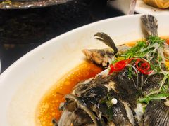 -厦门威斯汀酒店