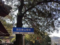 -泰山风景名胜区