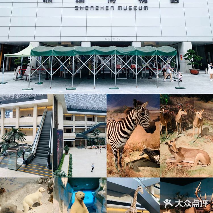 深圳博物馆|南山博物馆|华强北博物馆|南头古城博物馆|五大馆