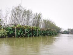 -江门古劳水乡旅游区