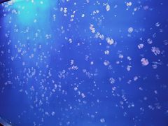 -福州罗源湾海洋世界旅游区