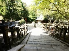 -奈良公园