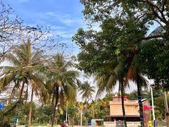 -兴隆槟榔园休闲农庄