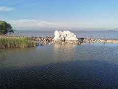 -吴淞炮台湾湿地森林公园烧烤区