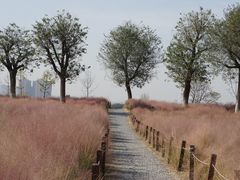 -汉长安城未央宫国家考古遗址公园