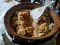 -百利鸽王(紫薇路店)