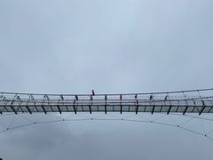 -君临七星生态酒店