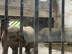 -石家庄市动物园