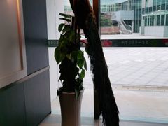 -芬芳四季养生会所(西溪店)