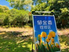 -上海鲜花港