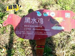 -西昌邛海湿地