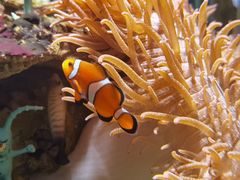 -太平洋海底世界