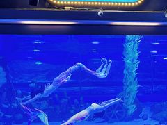 -顺德南宏海立方海洋公园