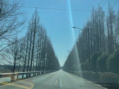 -上海海湾国家森林公园