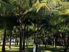 -三亚海棠湾喜来登度假酒店