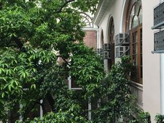 -香港大学