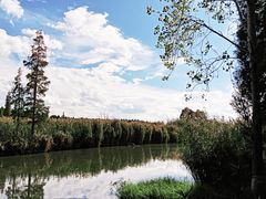 -捞渔河湿地公园