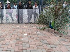 -长白岛森林公园