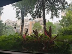 -光舍(香榭里花园店)