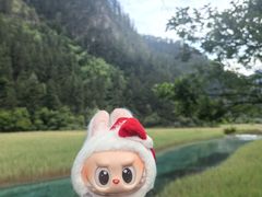 -一只羊·铜锅涮羊肉烧烤