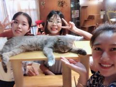 -喵园·猫主题咖啡厅·撸猫·猫咖(国贸店)