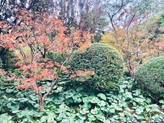 -兰溪青年公园