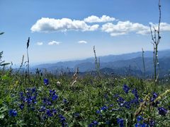 -白草畔自然风景区