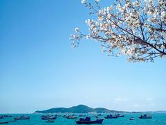 -海源公园