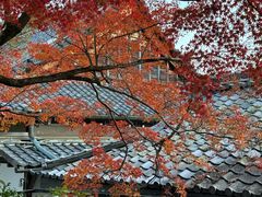 -天龙寺