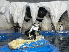 -太平洋海底世界