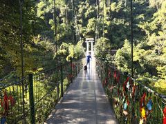 -西双版纳原始森林公园