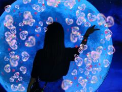-重庆梵高星空艺术馆(解放碑旗舰店)