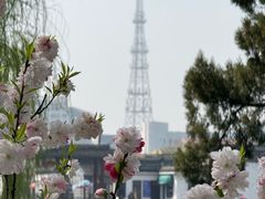 -水绘园