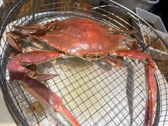 大飞蟹-海味当家·蒸锅海鲜(星海公园店)