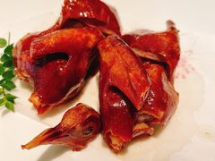 -甄御•海鲜新青岛菜(麦岛店)