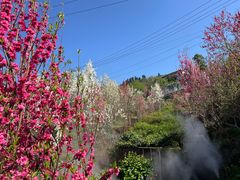 -玫瑰庄园·自助烧烤·烤全羊·团建拓展(龙泉山店)