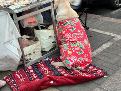 -双合园·海鲜水饺青岛菜(万佳广场店)
